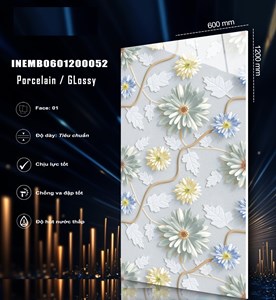 Gạch INDIA 600x1200 Bóng kính 52