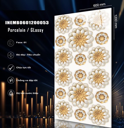 Gạch INDIA 600x1200 Bóng kính 53