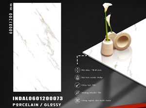 Gạch INDIA 600x1200 Bóng kính 73