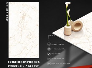 Gạch INDIA 600x1200 Bóng kính 74