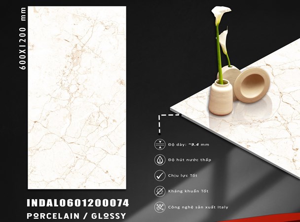Gạch INDIA 600x1200 Bóng kính 74