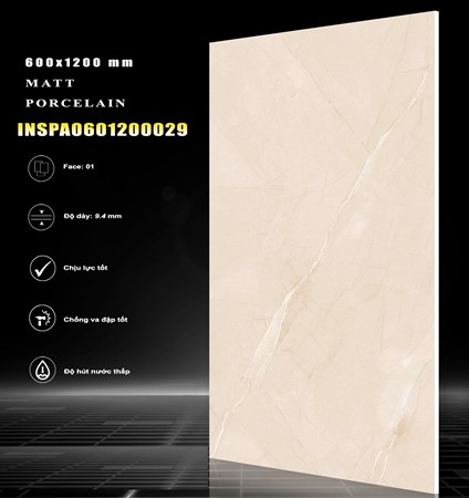 Gạch INDIA 600x1200 MỜ 29