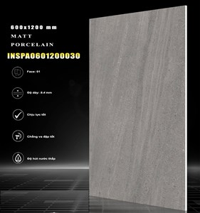 Gạch INDIA 600x1200 MỜ 30