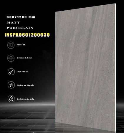 Gạch INDIA 600x1200 MỜ 30