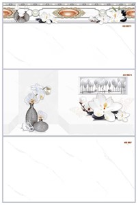 Gạch KTS Thanh Thanh 30x60 ACG 3657