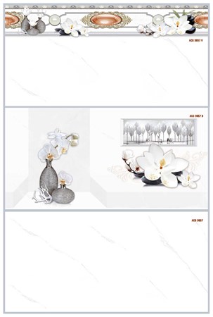 Gạch KTS Thanh Thanh 30x60 ACG 3657