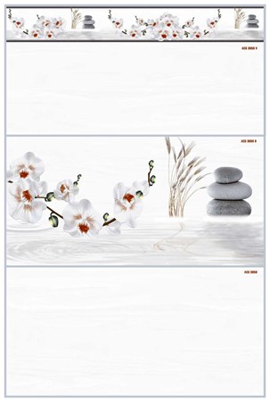 Gạch KTS Thanh Thanh 30x60 bộ ACG 3650