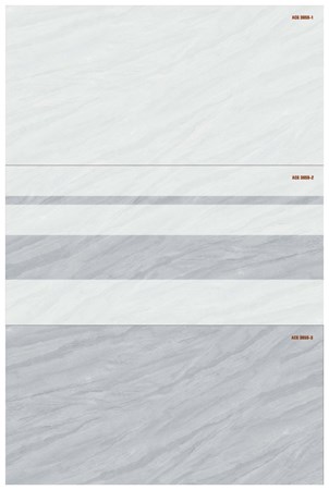 Gạch KTS Thanh Thanh 30x60 bộ ACG 3658