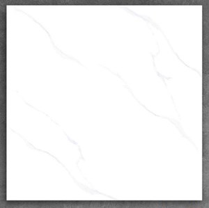 Gạch PAK 600x600 K6605