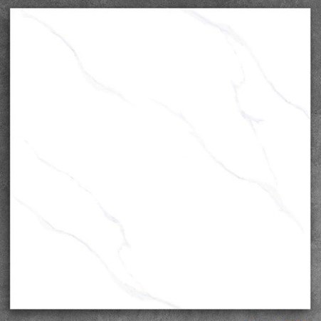 Gạch PAK 600x600 K6605