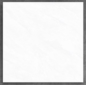 Gạch PAK 600x600 6606