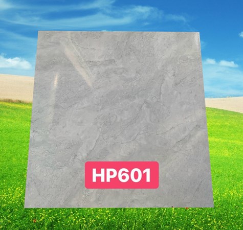 Gạch PAK 600x600 HP 601