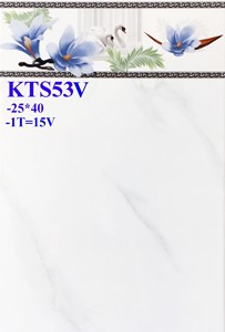 Gạch Prime 25x40 KTS53V