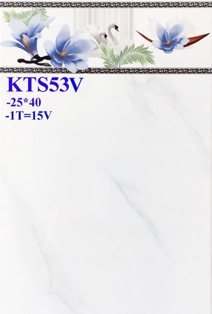 Gạch Prime 25x40 KTS53V