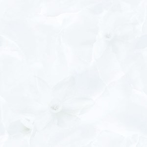 Gạch Prime 60x60 NY 9048