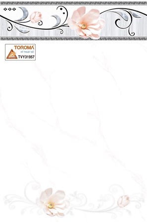 Gạch TOROMA 300x450 TVY31957