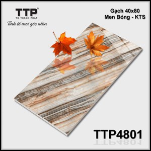 Gạch TOROMA 40x80 TTP4801