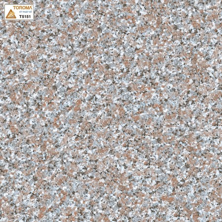 Gạch TOROMA 50x50 T5151
