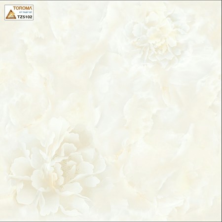 Gạch TOROMA 50x50 TZ5102