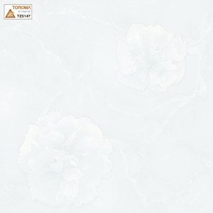 Gạch TOROMA 50x50 TZ5147