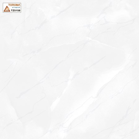 Gạch TOROMA 50x50 TZ5158