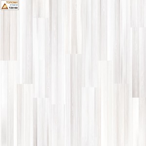 Gạch TOROMA 50x50 TZ5160