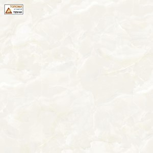 Gạch TOROMA 50x50 TZ5161