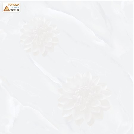 Gạch TOROMA 50x50 TZ5162