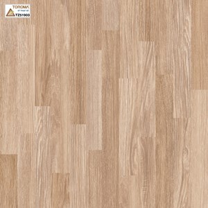 Gạch TOROMA 50x50 TZ51903