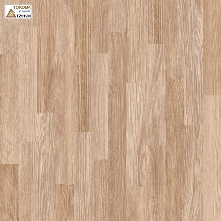 Gạch TOROMA 50x50 TZ51903