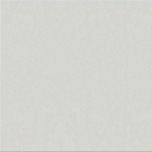 Gạch Taicera G68025