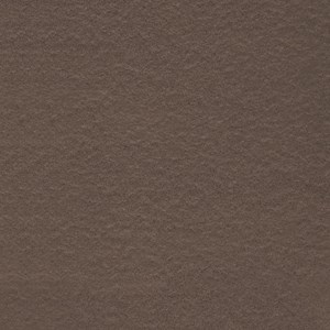 Gạch Taicera G68521