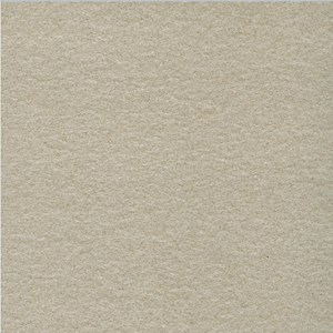 Gạch Taicera G68522