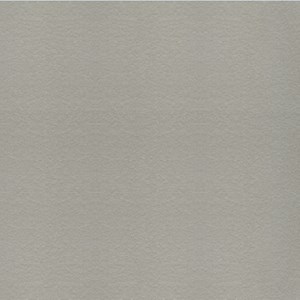 Gạch Taicera G68548