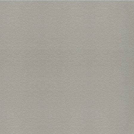 Gạch Taicera G68548