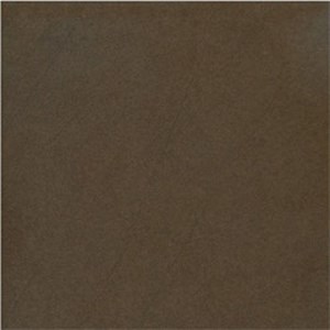 Gạch Taicera G68911