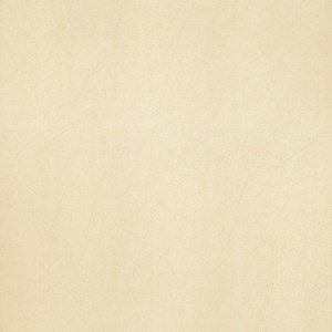 Gạch Taicera G68913