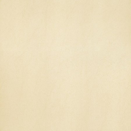 Gạch Taicera G68913