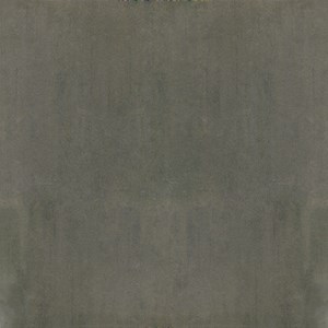 Gạch Taicera G68939