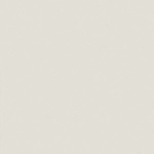 Gạch Taicera H88710