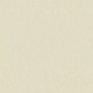 Gạch Taicera H88713