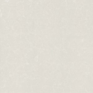 Gạch Taicera P67775N (600x600mm)