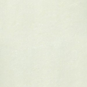 Gạch Taicera P87703N