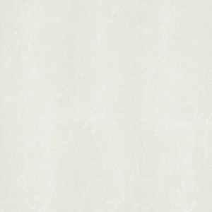 Gạch Taicera P87762N