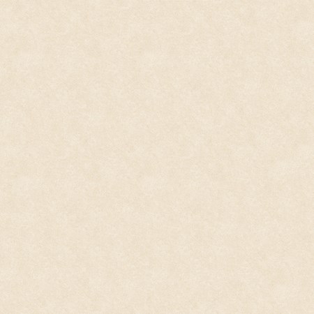 Gạch Tasa 400x800 8001