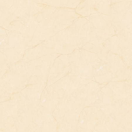 Gạch Tasa 800x800 TL 8101