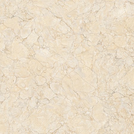 Gạch Tasa 800x800 TL 8104