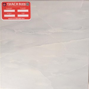 Gạch Thạch Bàn 300x300 MSD30-011