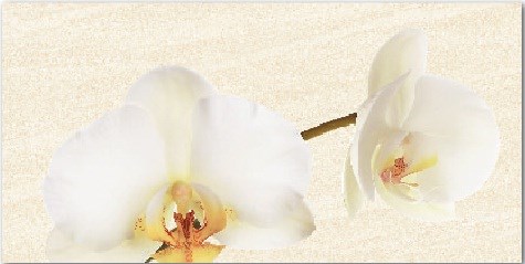 Gạch Thạch Bàn 300x600 TKP36-008-21