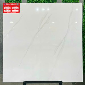 Gạch Thạch Bàn 800x800 FBG80-0001